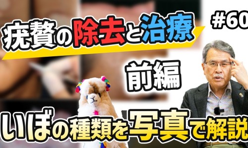 络红花功效与作用-洛红花药用网-分享络红花功效与作用，红洛神花有什么功效与作用知识库